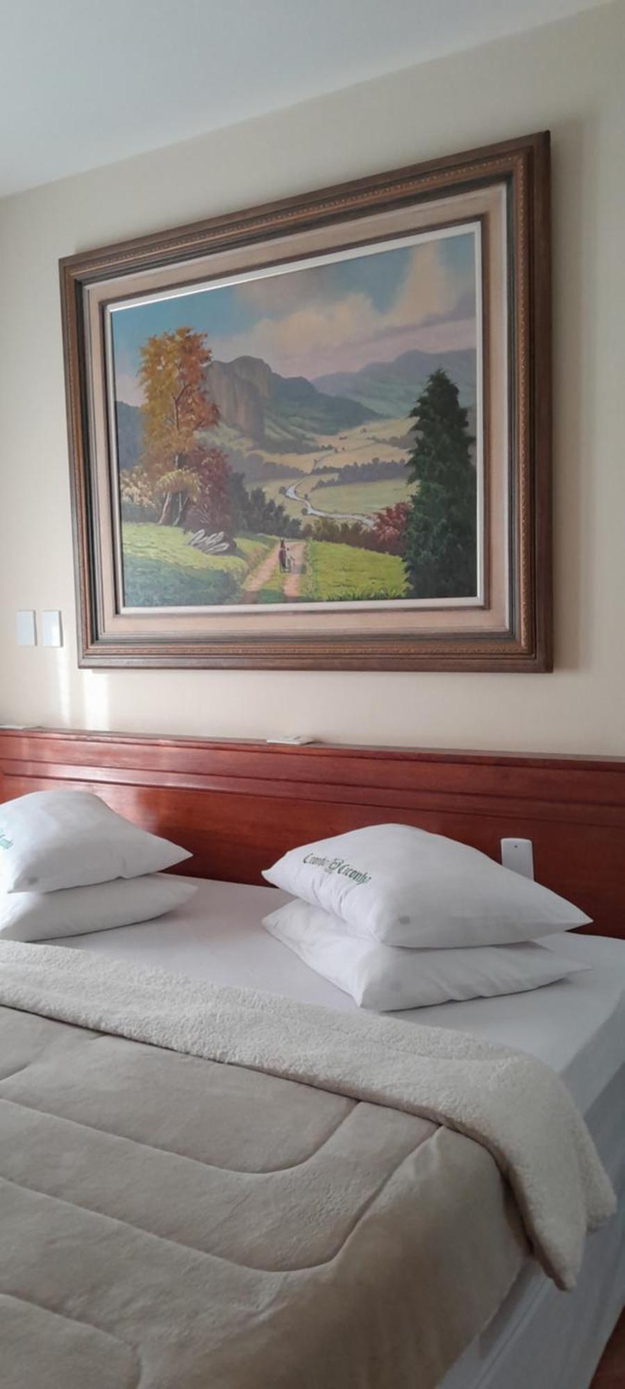 Hotel E Pousada Ciconha-Sao Lourenco Mg Eksteriør billede
